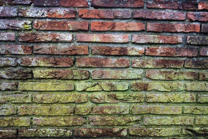 brick wall, 4k, mold-3130685.jpg
