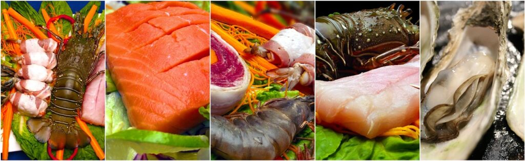 seafood, collage, food-1494193.jpg