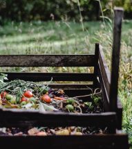 Wooden compost bin with organic waste and vegetables.